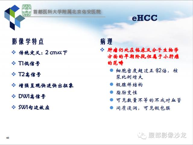 【PPT】HBV相关肝细胞癌演变MRI分级诊断