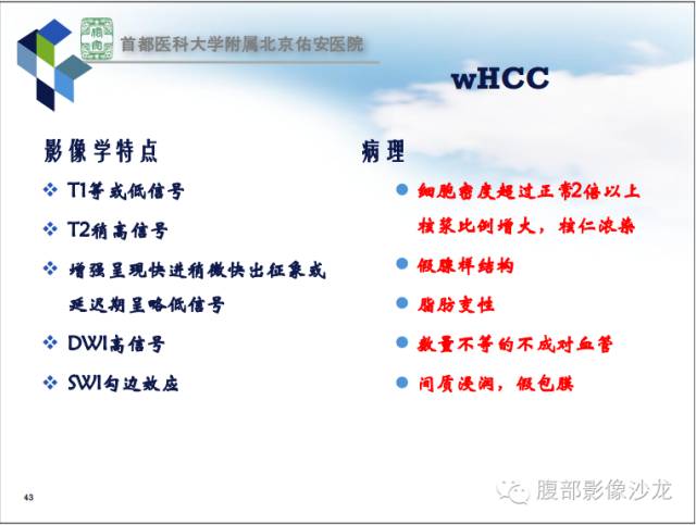 【PPT】HBV相关肝细胞癌演变MRI分级诊断