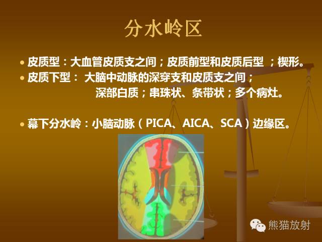 【PPT】脑梗死及相关改变MRI表现