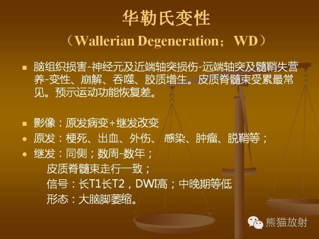 【PPT】脑梗死及相关改变MRI表现