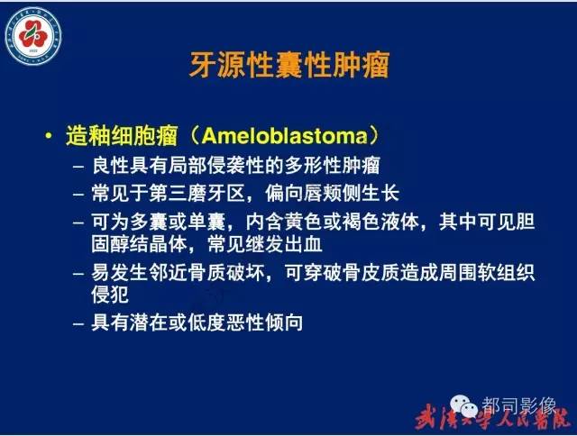 【PPT】颌骨囊肿和肿瘤CT&MRI