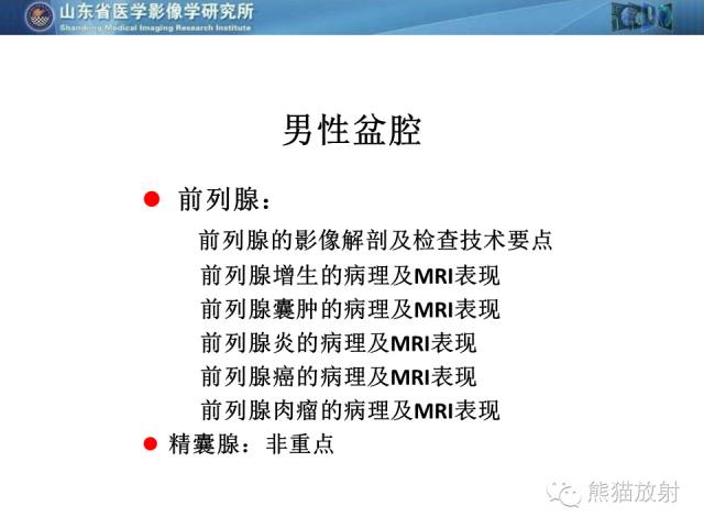 【PPT】盆腔影像检查技术及诊断的培训要点