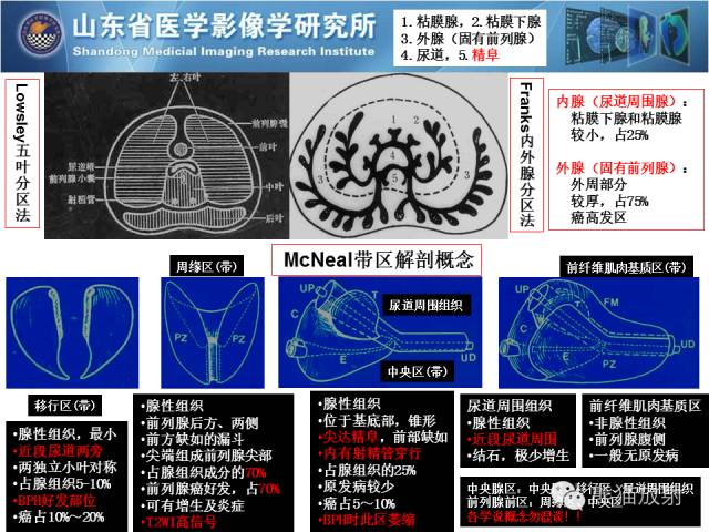 【PPT】盆腔影像检查技术及诊断的培训要点