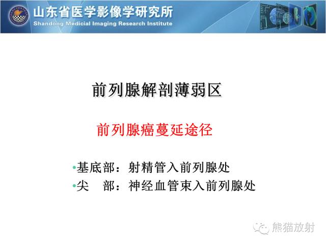 【PPT】盆腔影像检查技术及诊断的培训要点