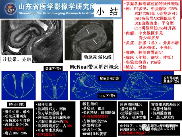 【PPT】盆腔影像检查技术及诊断的培训要点