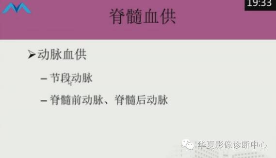 【PPT】脊髓血管畸形：MR诊断