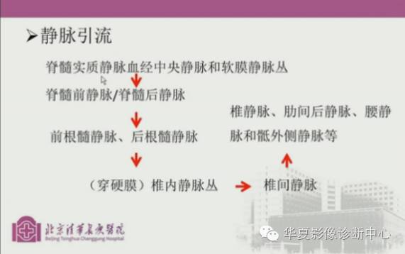 【PPT】脊髓血管畸形：MR诊断