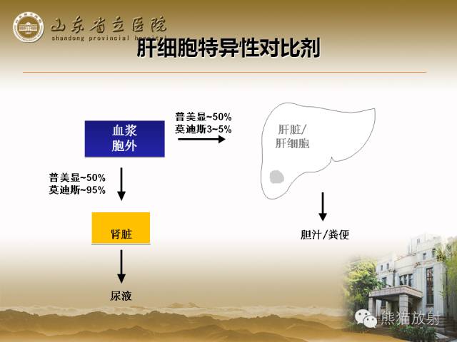 【PPT】肝脏影像学培训内容