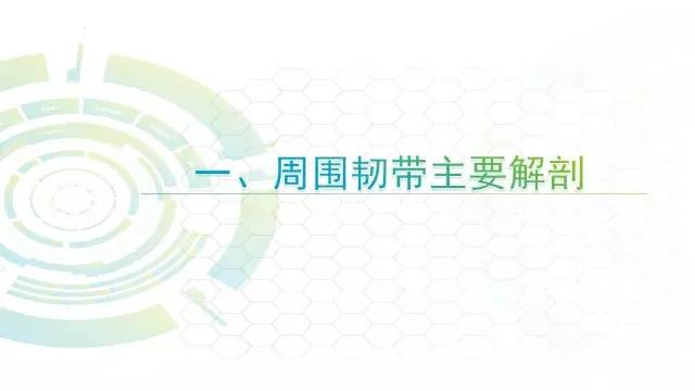 【PPT】膝关节周围韧带解剖及MR表现