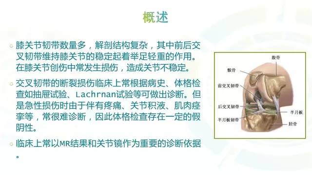 【PPT】膝关节周围韧带解剖及MR表现