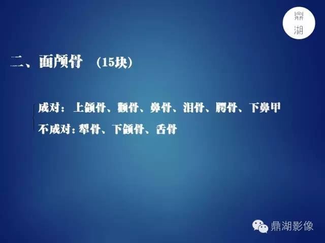 颅骨彩图解剖
