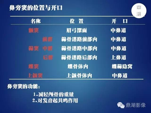 颅骨彩图解剖