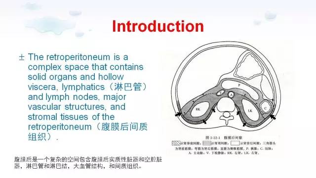 【PPT】含脂肪的腹膜后病变：影像学特点、定位及鉴别诊断
