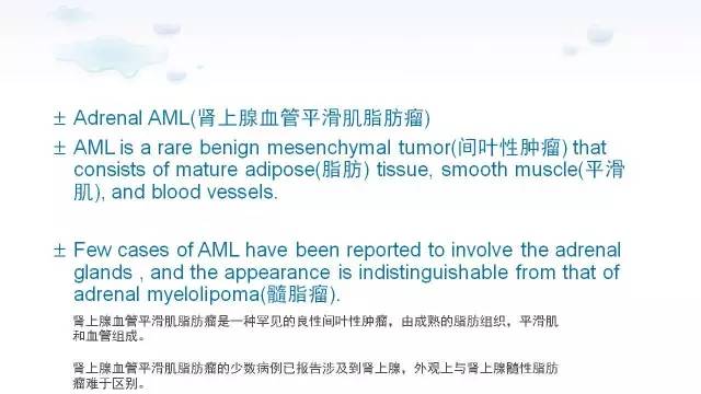 【PPT】含脂肪的腹膜后病变：影像学特点、定位及鉴别诊断