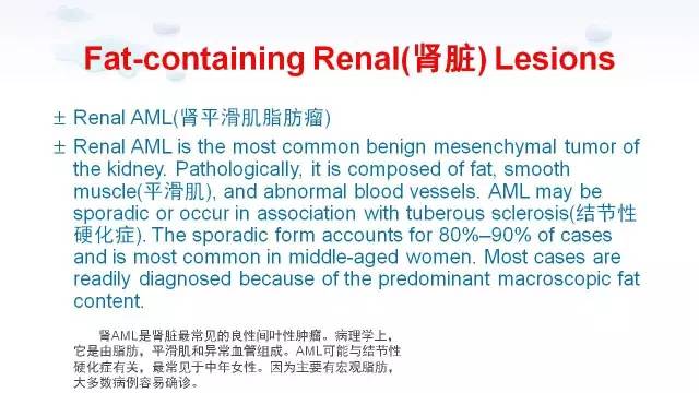 【PPT】含脂肪的腹膜后病变：影像学特点、定位及鉴别诊断