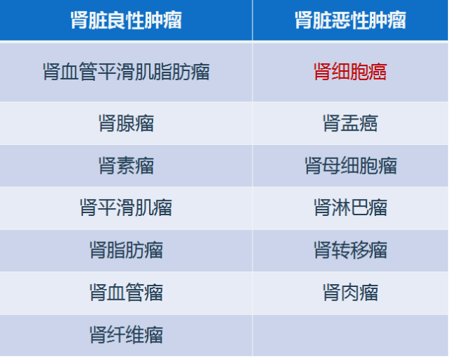 我读你看系列——肾细胞癌篇 我读你看系列——肾细胞癌篇