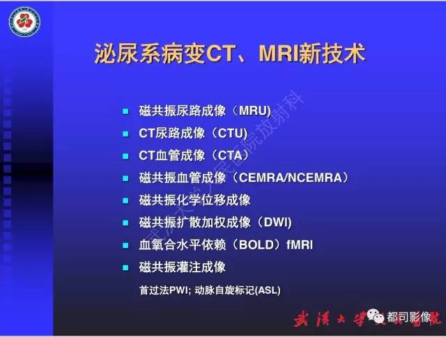【PPT】泌尿系病变CT&MRI新技术及临床应用