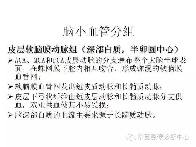 【PPT】脑小血管病