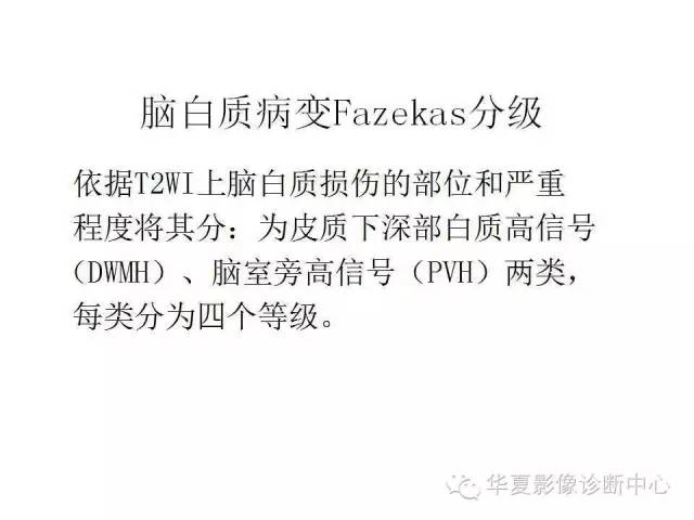 【PPT】脑小血管病