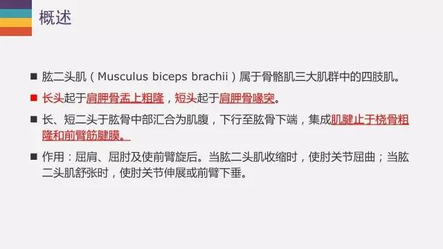 肱二头肌长头腱病变的MR诊断