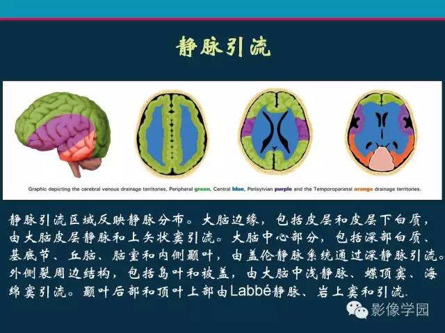 【PPT】颅脑静脉系统CT血管造影：解剖、病理及陷阱