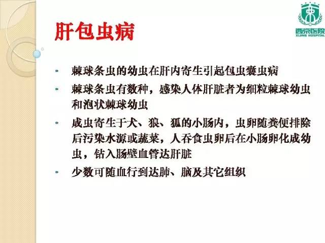 【病例】肝包虫病1例CT影像表现