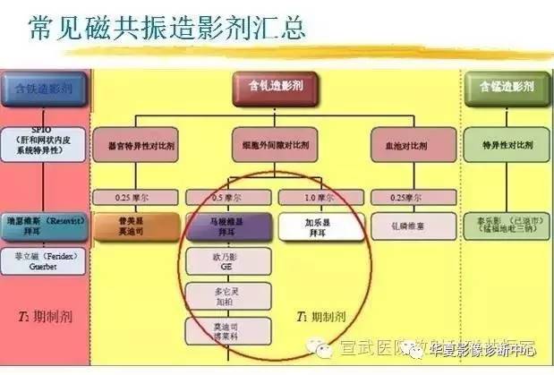 【PPT】磁共振造影剂的应用