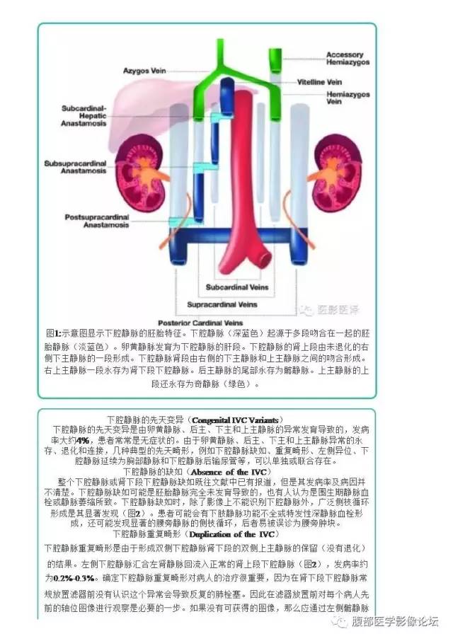 下腔静脉疾病的影像诊断