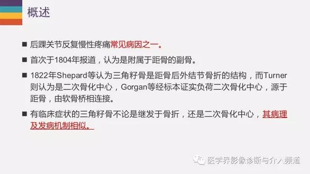 【PPT】三角籽骨综合征