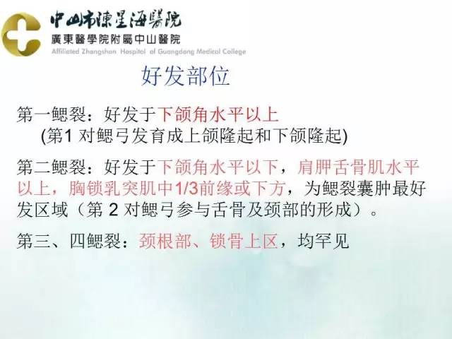 【PPT】鳃裂囊肿影像表现