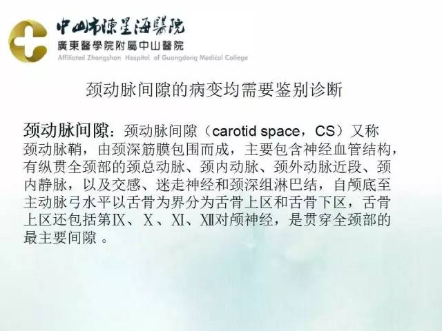 【PPT】鳃裂囊肿影像表现