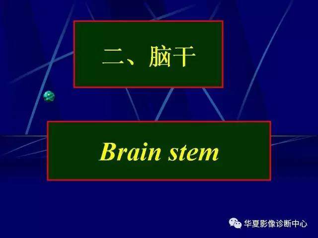 脑干解剖复习