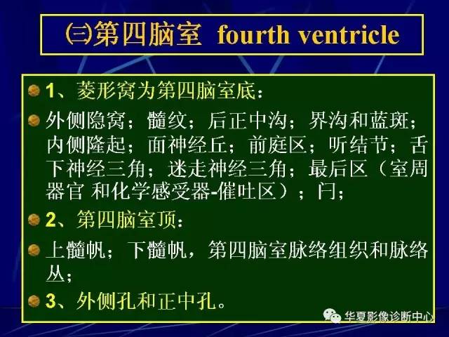 脑干解剖复习