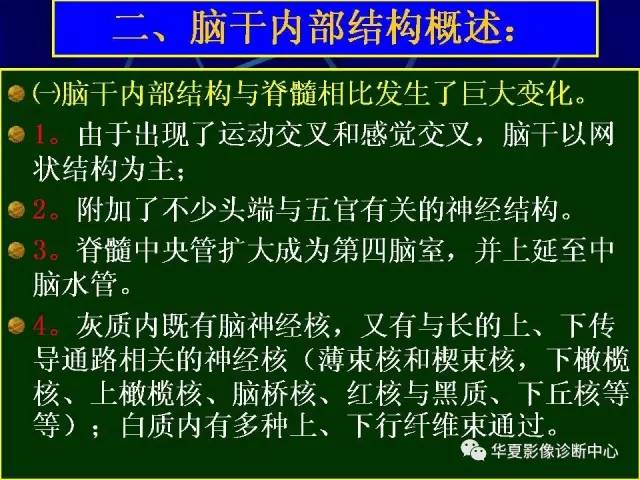 脑干解剖复习