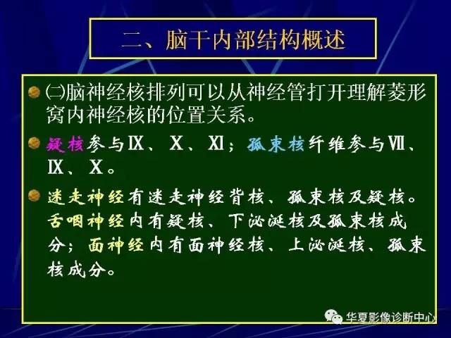 脑干解剖复习