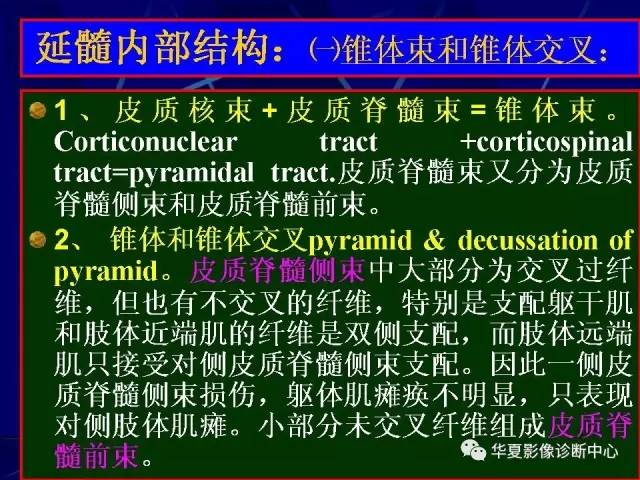 脑干解剖复习