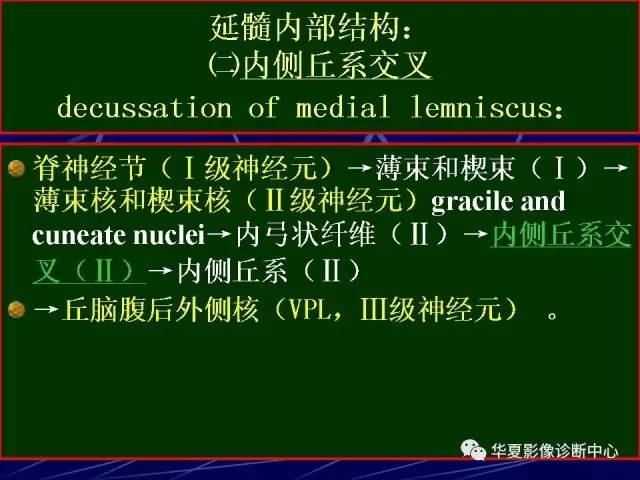 脑干解剖复习
