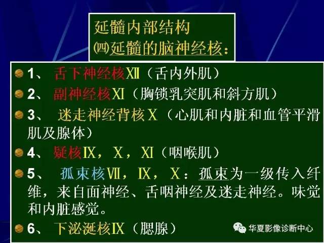 脑干解剖复习