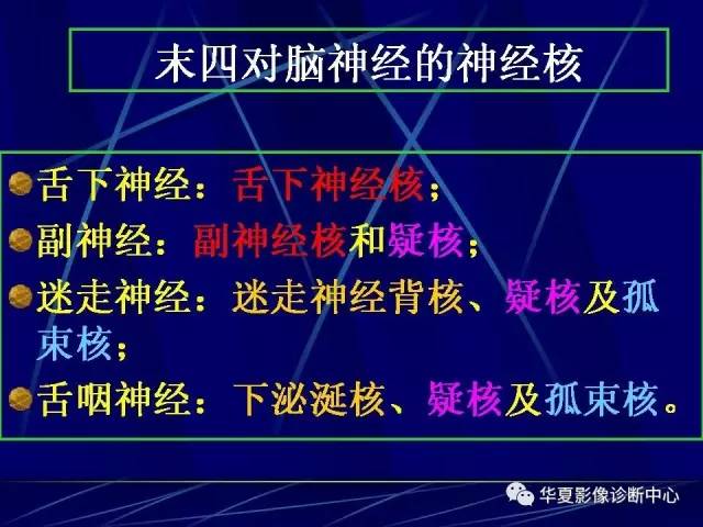 脑干解剖复习