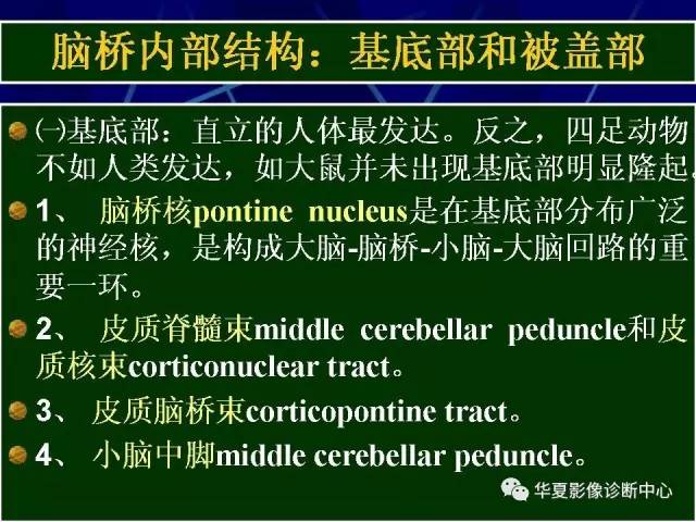 脑干解剖复习