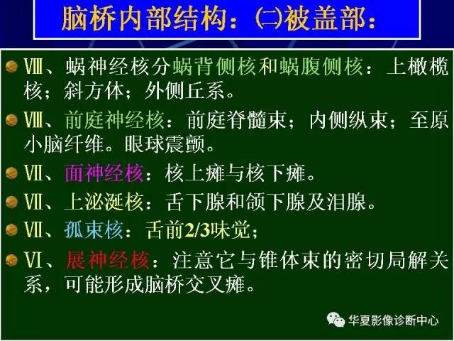 脑干解剖复习