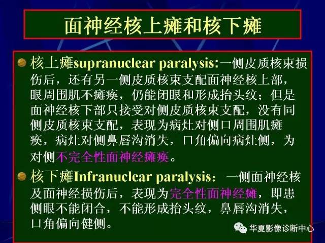 脑干解剖复习