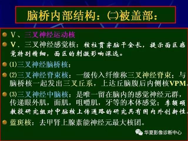 脑干解剖复习