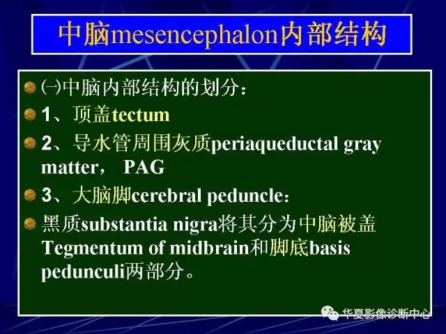 脑干解剖复习