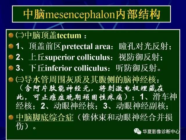 脑干解剖复习