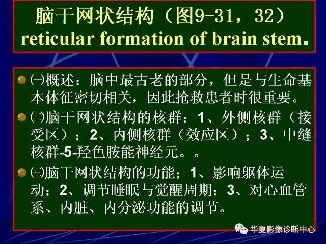 脑干解剖复习
