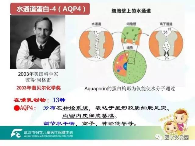 【PPT】小儿NMOSD及其相关疾病MRI诊断思路
