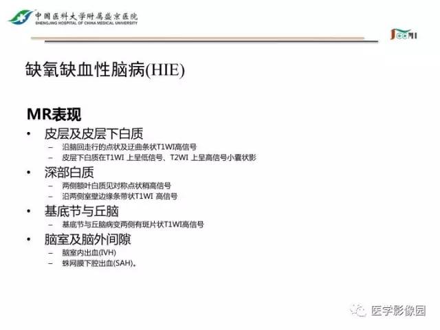 【PPT】常见新生儿脑损伤的MRI检查序列的选择与诊断要点