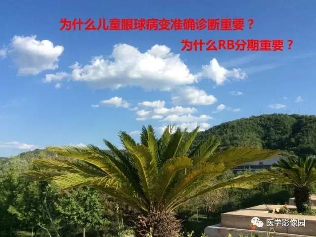 【PPT】儿童RB影像诊断分析思路