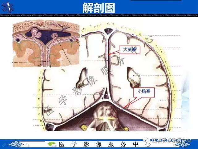 【今日征象】奔驰征